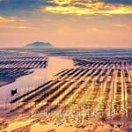 Avatar de Manuel Saavedra